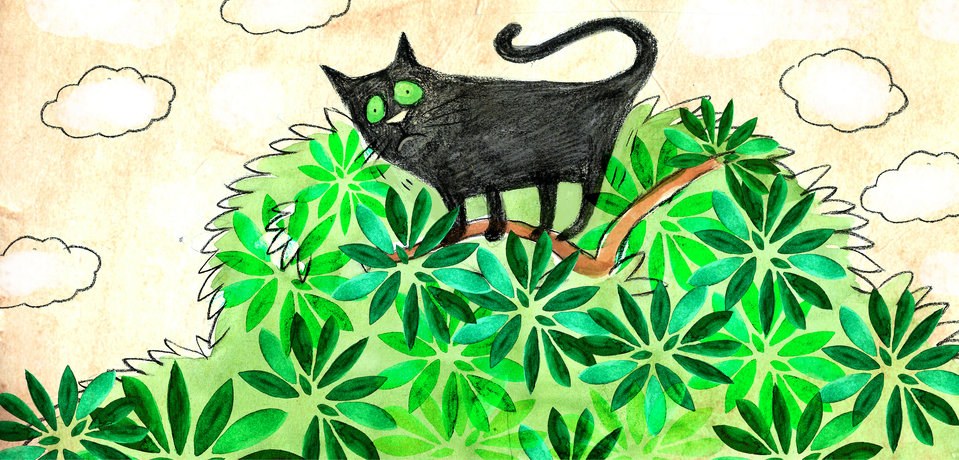 The Story-Pooping Cat
