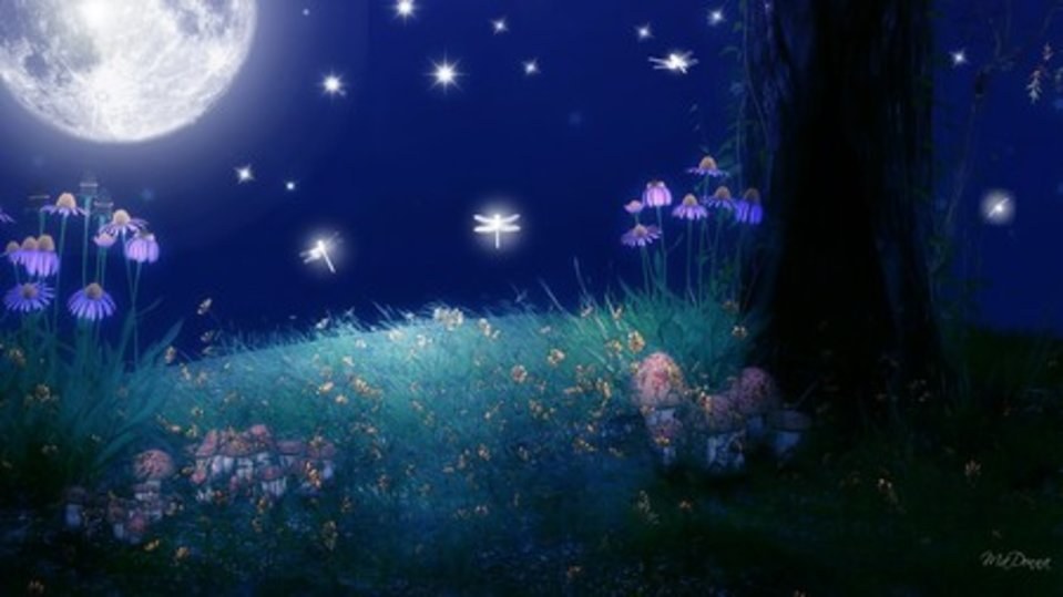The Moon and the Stars