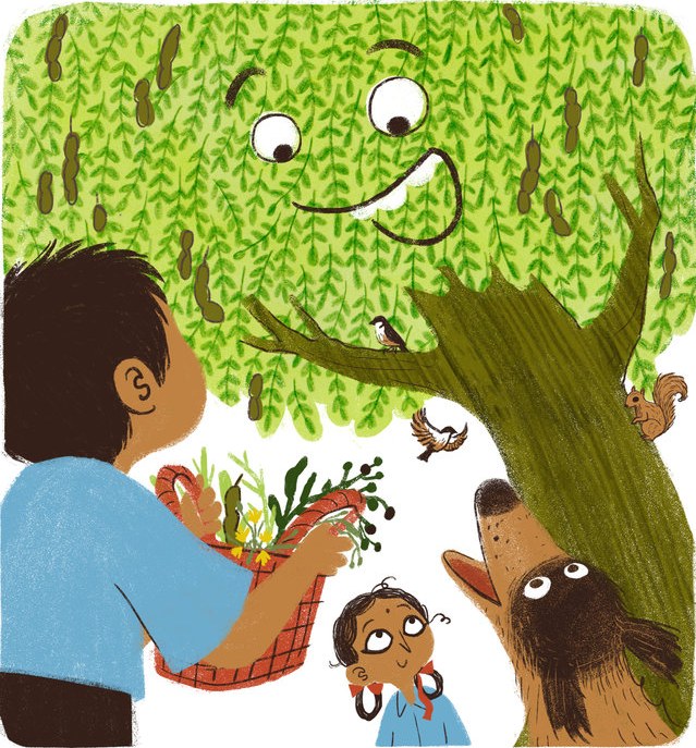 Let's Go Seed Collecting!